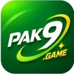 Pak9 Game